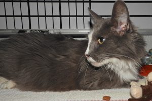 Picture of Tip
