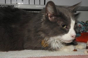 Picture of Tip