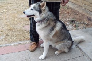 Picture of Zen