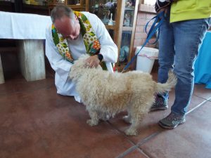 Picture of Blessing of the Animals