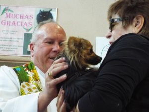 Picture of Blessing of the Animals