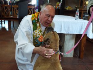 Picture of Blessing of the Animals
