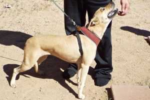 Picture of Fadosa