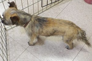 Picture of Flash