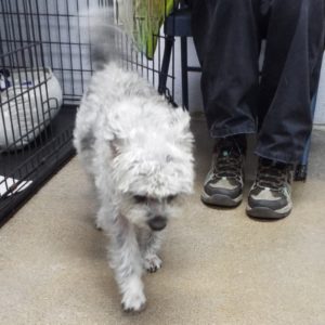 Picture of Holly