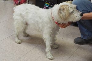 Picture of Paula