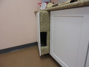 Picture of Cat Visitation Room
