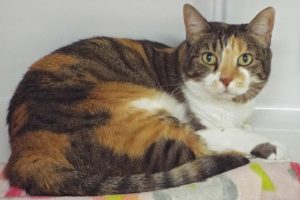 Picture of Sofie