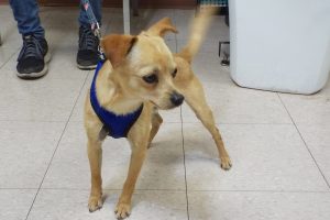 Picture of Taco