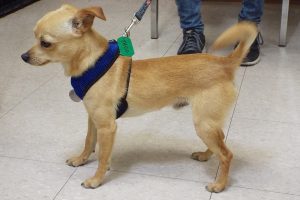 Picture of Taco