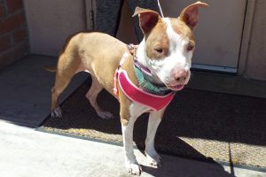 Picture of Bella Ann