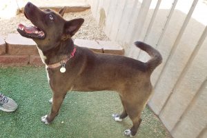 Picture of Chiquita