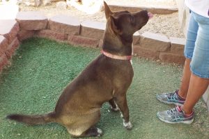 Picture of Chiquita