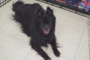 Picture of Bella "D"