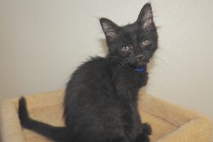 Baby Lucy