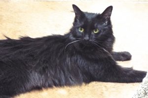 Picture of Lucy