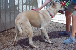 Picture of Wally