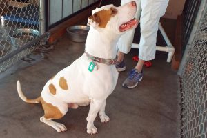 Picture of Zeus