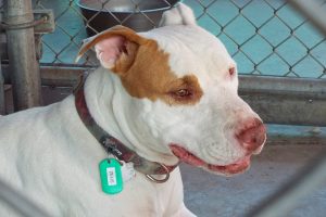 Picture of Zeus
