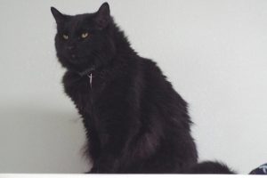Picture of Charles
