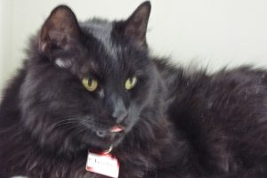 Picture of Charles