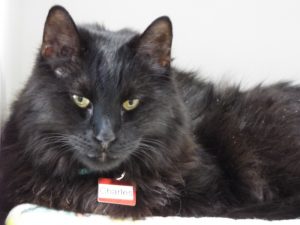 Picture of Charles