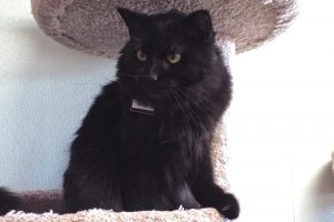 Picture of Bonnie