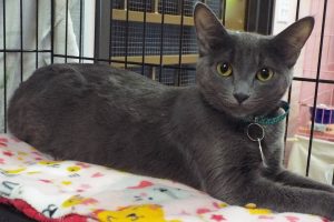 Picture of Mavis