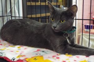 Picture of Mavis
