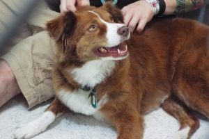 Picture of Mikka (CGC)