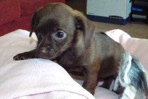 Picture of Minnie