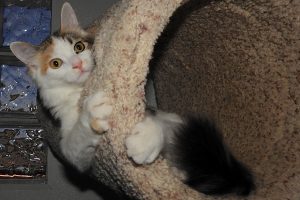 Picture of Sally