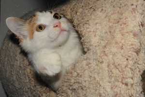 Picture of Sally