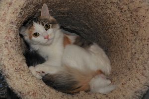 Picture of Sally