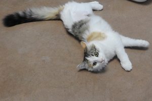 Picture of Sally