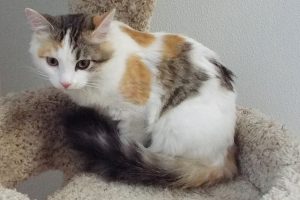 Picture of Sally