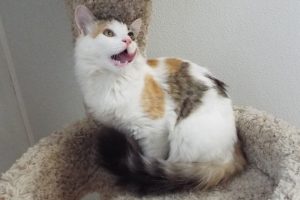 Picture of Sally