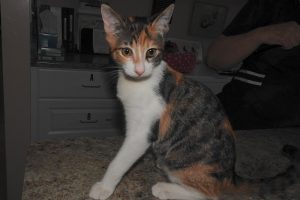 Picture of Sara