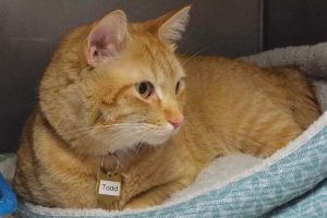 Picture of Todd