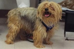 Picture of Zimba