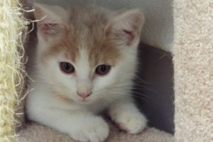 Picture of Lorelai