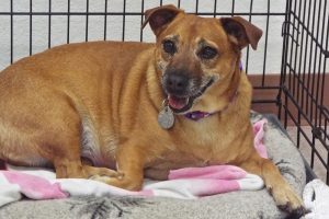 Picture of Margie