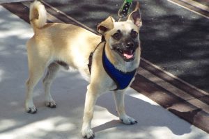 Picture of McGee