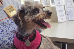 Picture of Miss Daisy