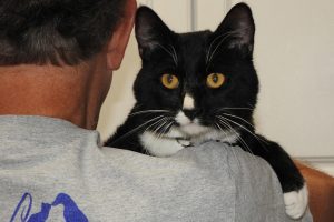 Picture of Gordon