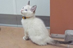 Picture of Bobbie