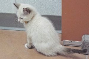 Picture of Bobbie
