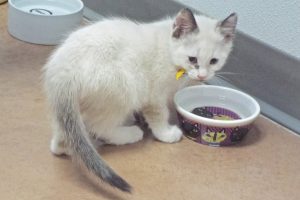 Picture of Bobbie