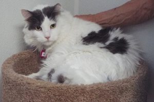 Picture of Jessica