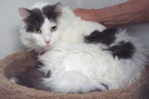 Picture of Jessica